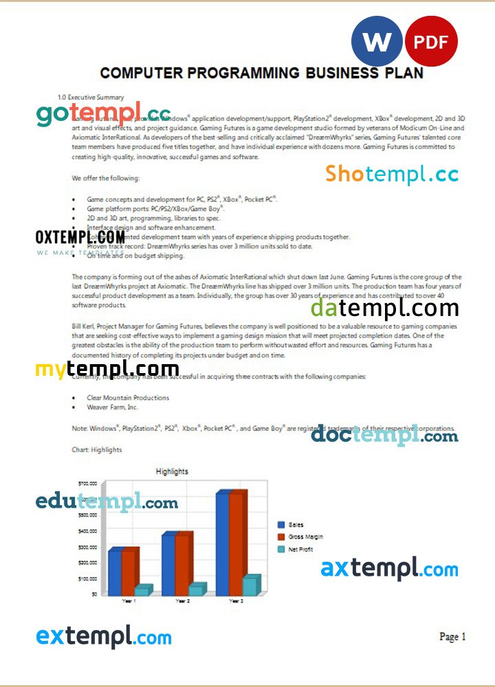 computer programming business plan example in Word and PDF formats
