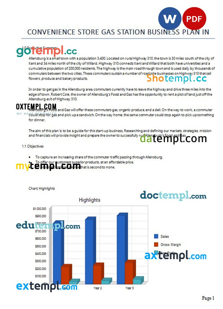 convenience store gas station business plan example in Word and PDF formats