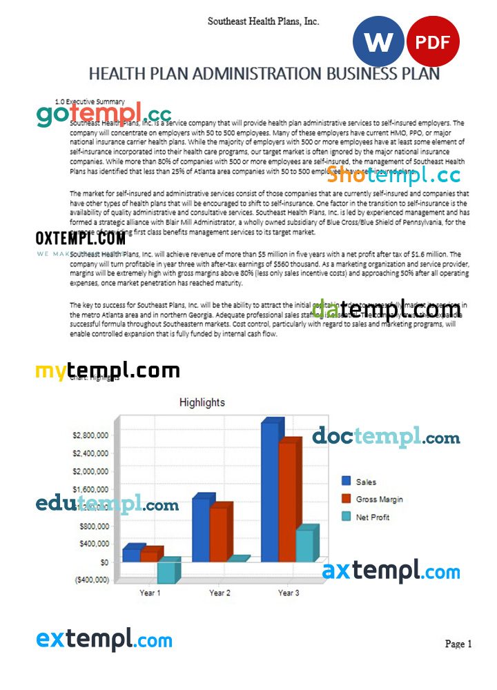 health plan administration business plan example in Word and PDF formats