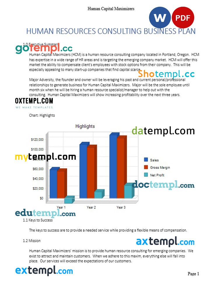 human resources consulting business plan example in Word and PDF formats