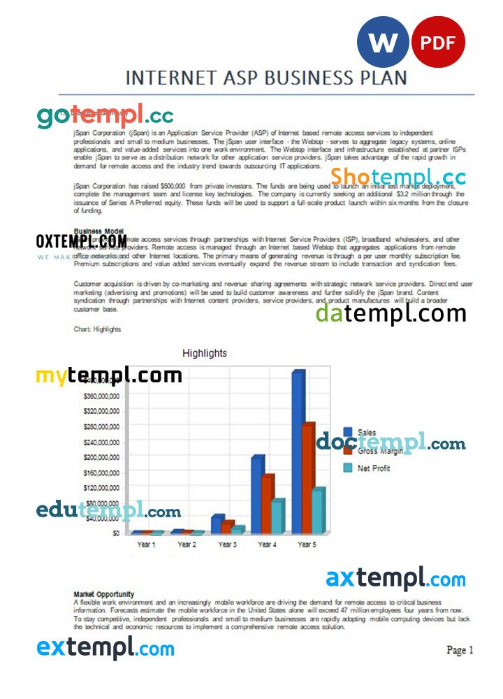 internet asp business plan example in Word and PDF formats