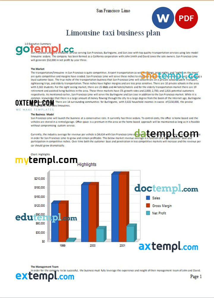 limousine taxi business plan example in Word and PDF formats