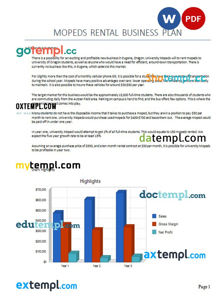 mopeds rental business plan example in Word and PDF formats