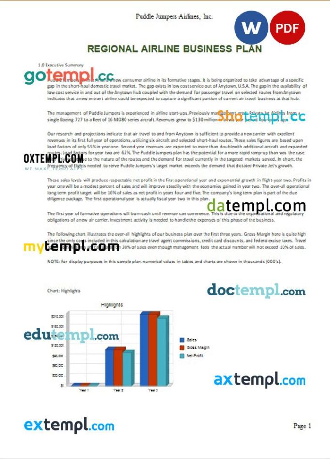 regional airline business plan example in Word and PDF formats