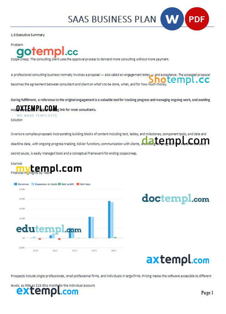 saas business plan example in Word and PDF formats
