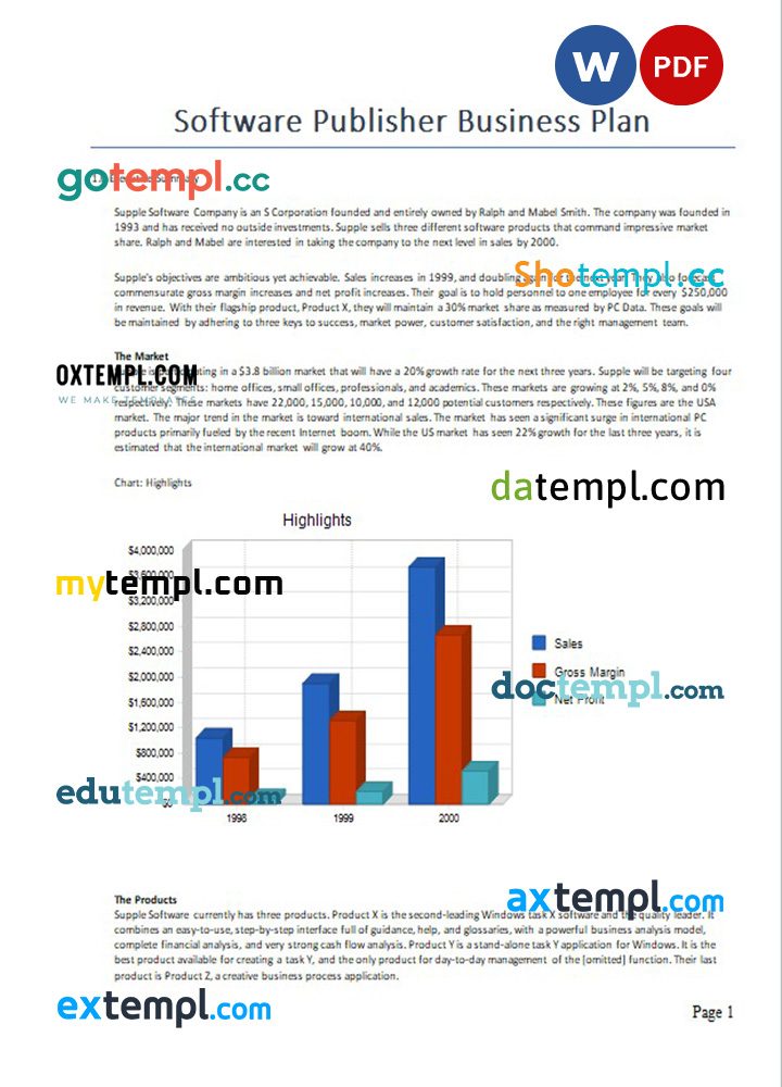 software publisher business plan example in Word and PDF formats