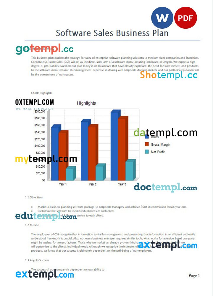 software sales business plan example in Word and PDF formats