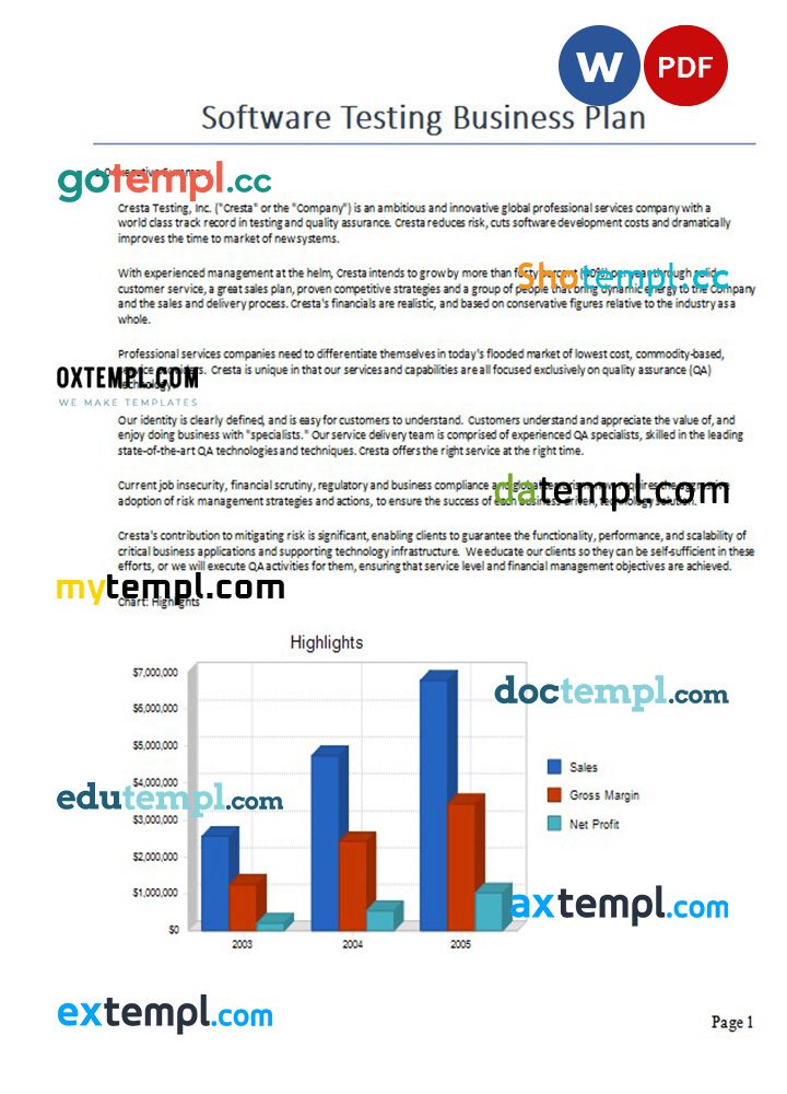software testing business plan example in Word and PDF formats