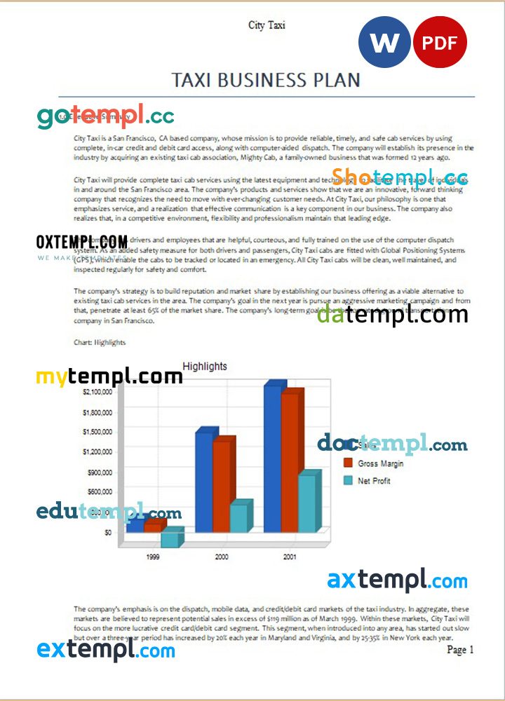 taxi business plan example example in Word and PDF formats
