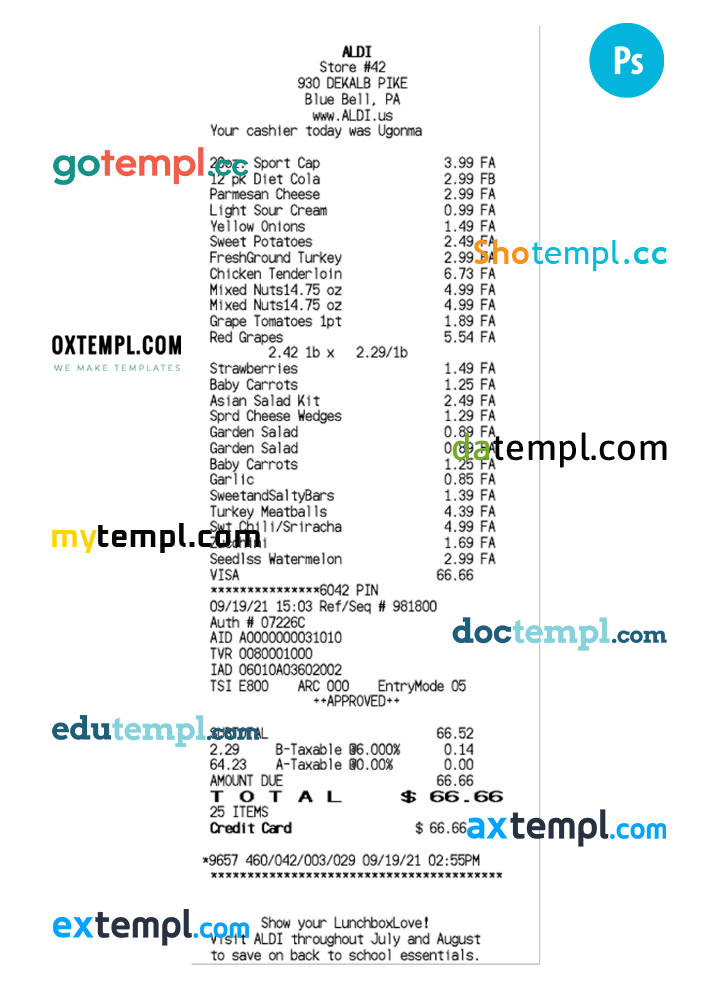 ALDI STORE receipt example PSD example