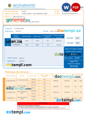 Algerian Societe Algerien Distribution internet utility bill download Word and PDF example