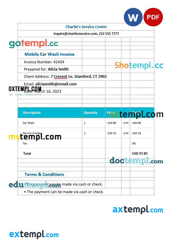 Mobile Car Wash Invoice example in word and pdf format
