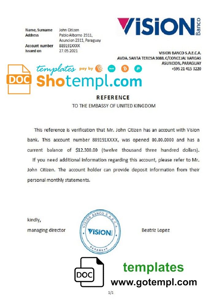 Paraguayan Vision Banco bank account reference letter example in Word and PDF format