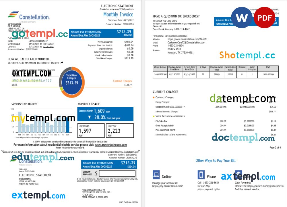 USA Constellation utility bill Word and PDF template, 3 pages