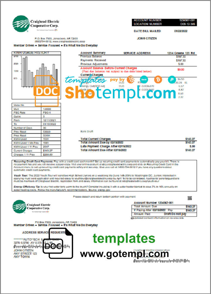 USA Craighead Electric utility bill download example in Word and PDF format