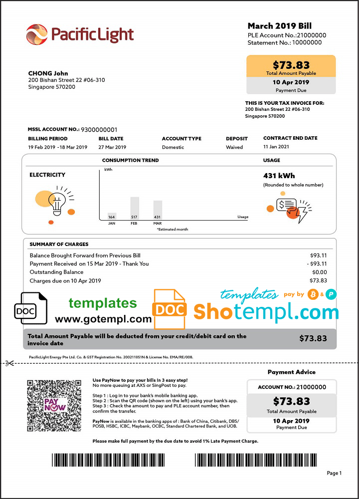 Singapore Pacific Light electricity utility bill download example in Word and PDF format