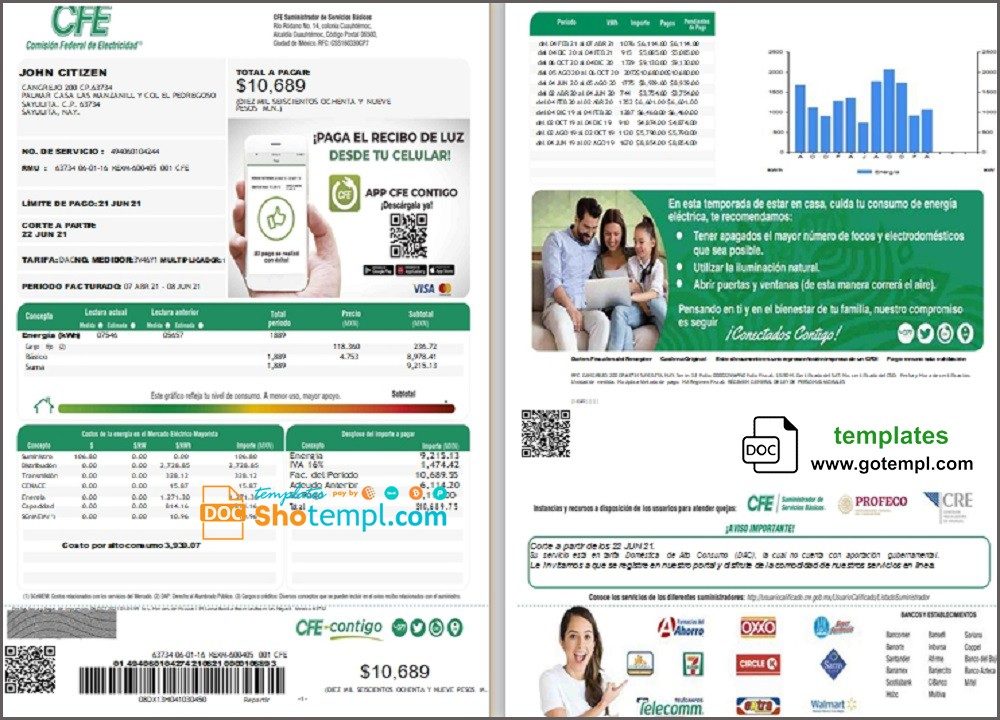 Mexican Federal Electricity Commission (CFE) utility bill download example in Word format, 2 pages