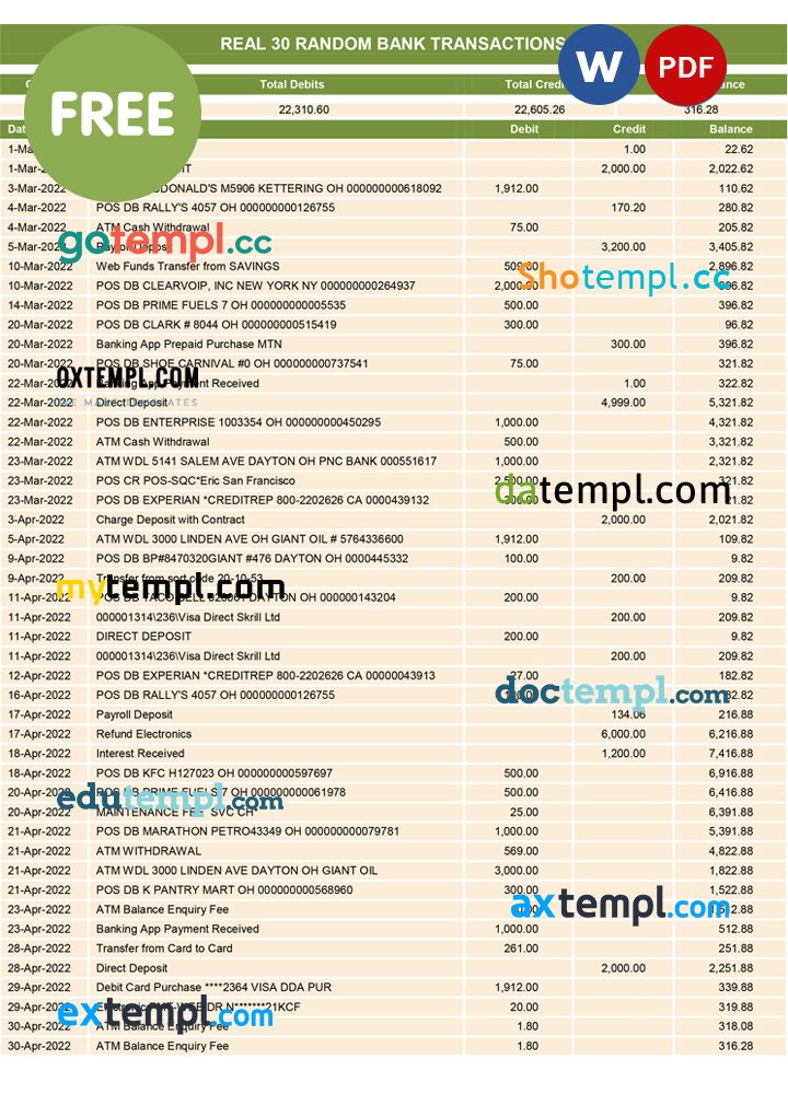 free download real 30 random bank transactions Word and PDF example
