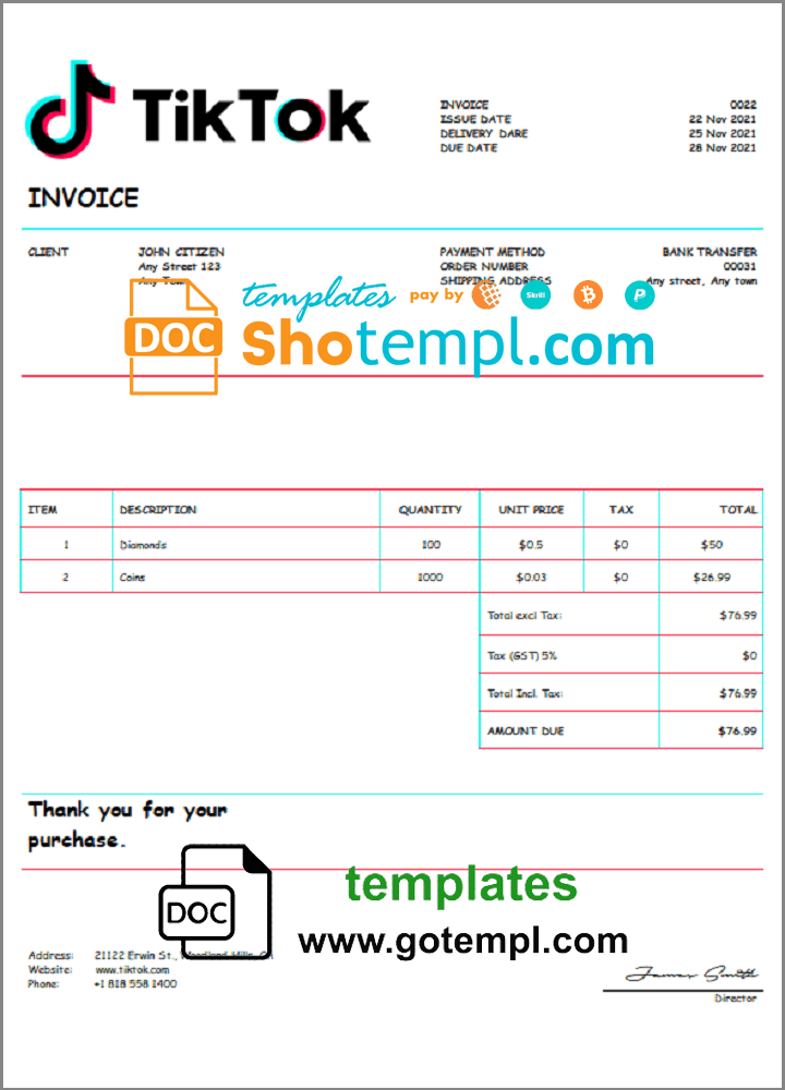 USA Tik Tok invoice example in Word and PDF format, fully editable